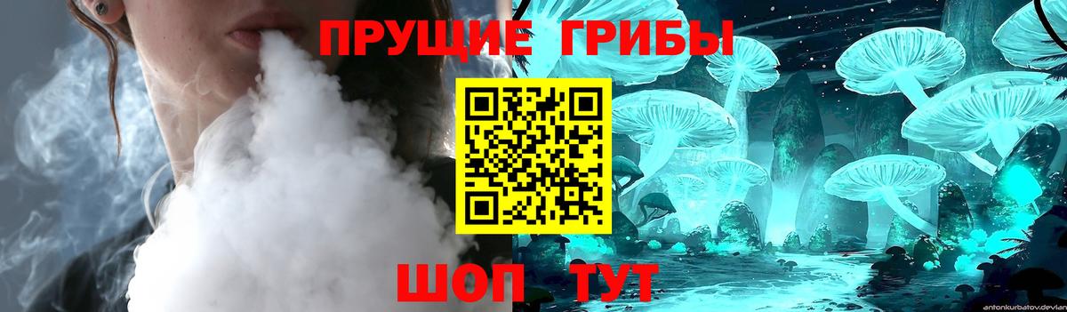 Котлас  Псилоцибиновые грибы Cubensis  Вход с VPN  Псилоцибиновые грибы Psilocybe 